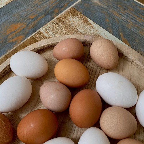 Яйца куриные